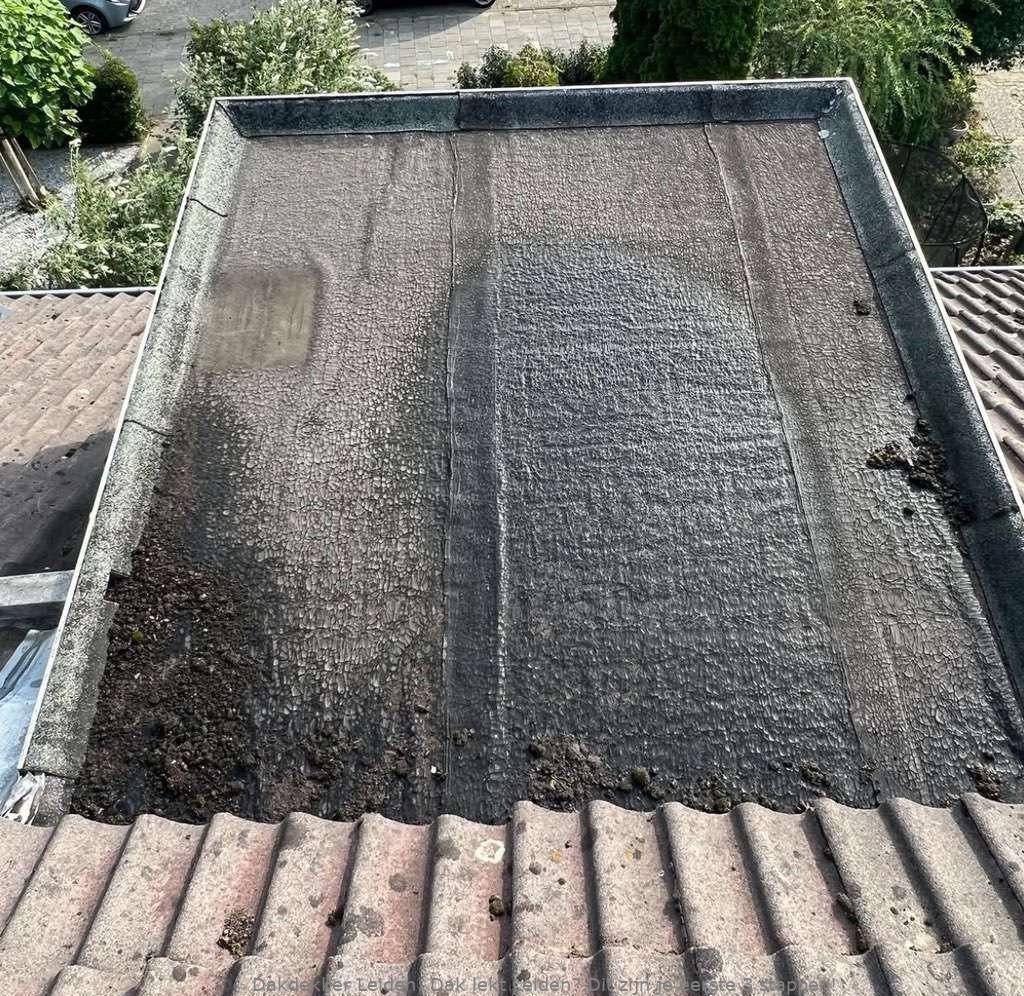Dak Lekt Leiden