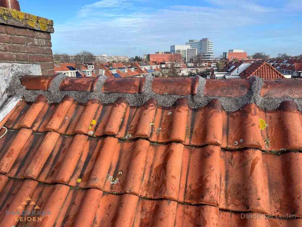 Nieuw bitumen plat dak met uitzicht over woonwijk in Leiden Nieuw bitumen plat dak met uitzicht over woonwijk in Leiden