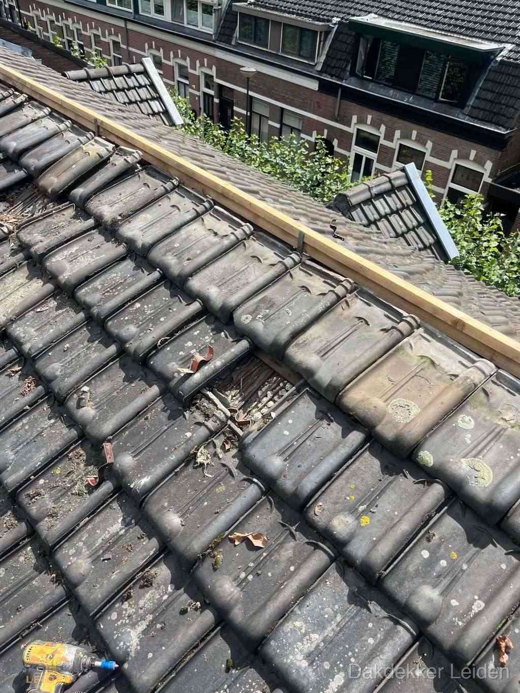 Dakonderhoud aan schuin pannendak met nokvernieuwing in Leiden Dakonderhoud aan schuin pannendak met nokvernieuwing in Leiden