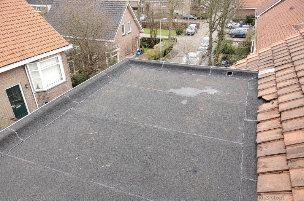 Dakdekker In Najaar Leiden