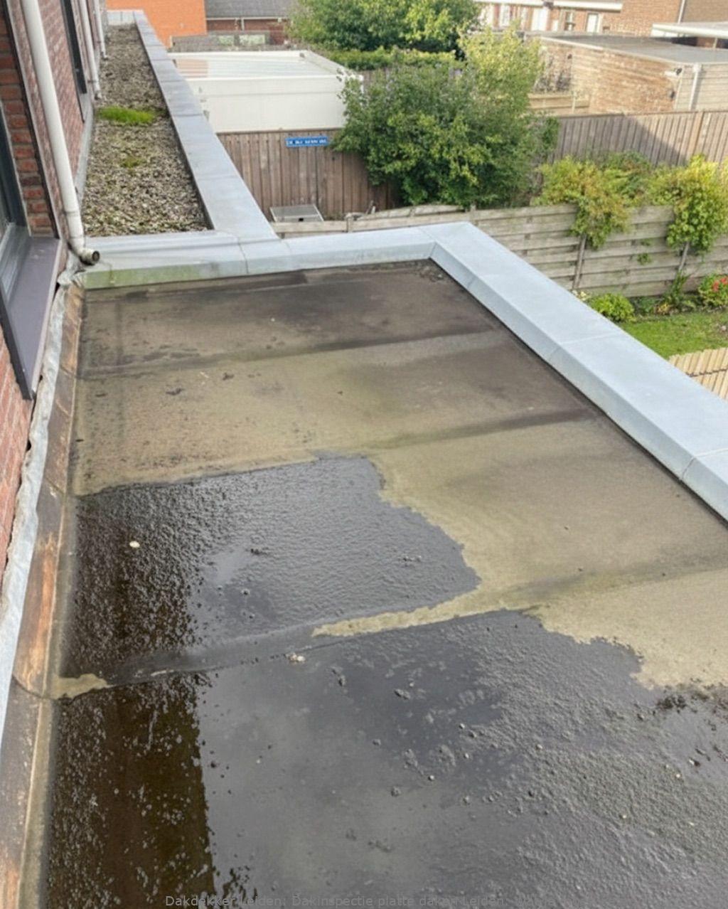 Dakinspectie Platte Daken Leiden