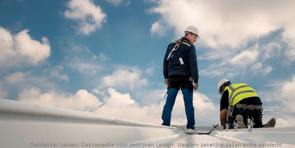 Dakinspectie Voor Bedrijven Leiden
