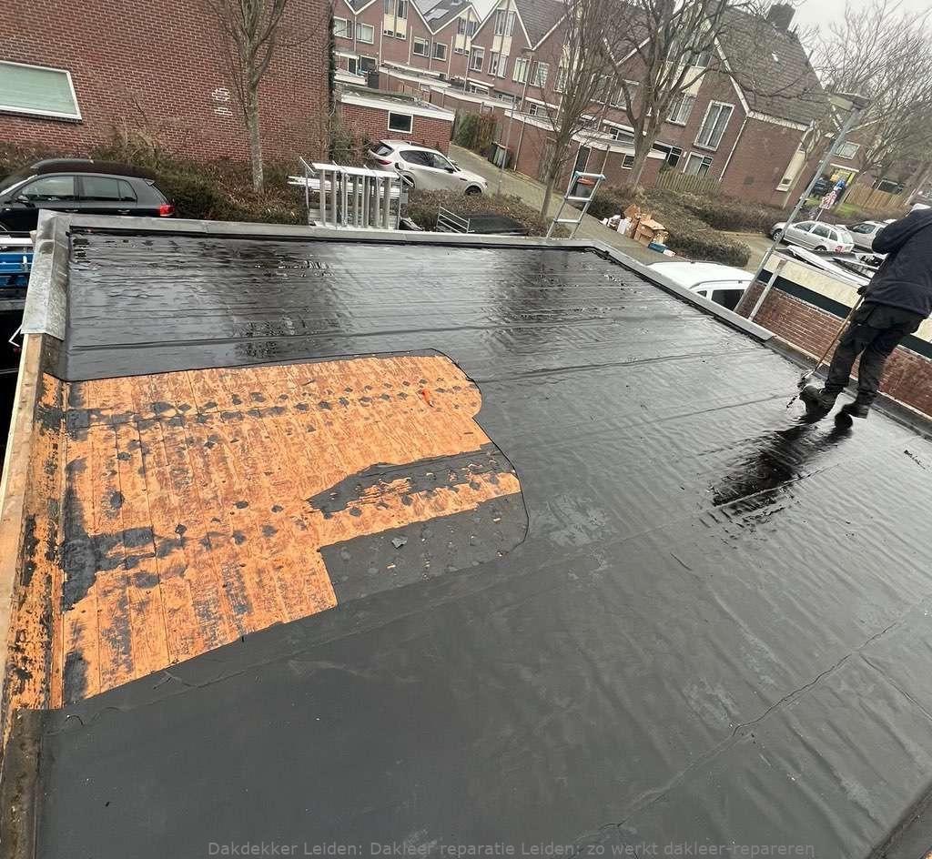 Dakleer Reparatie Leiden