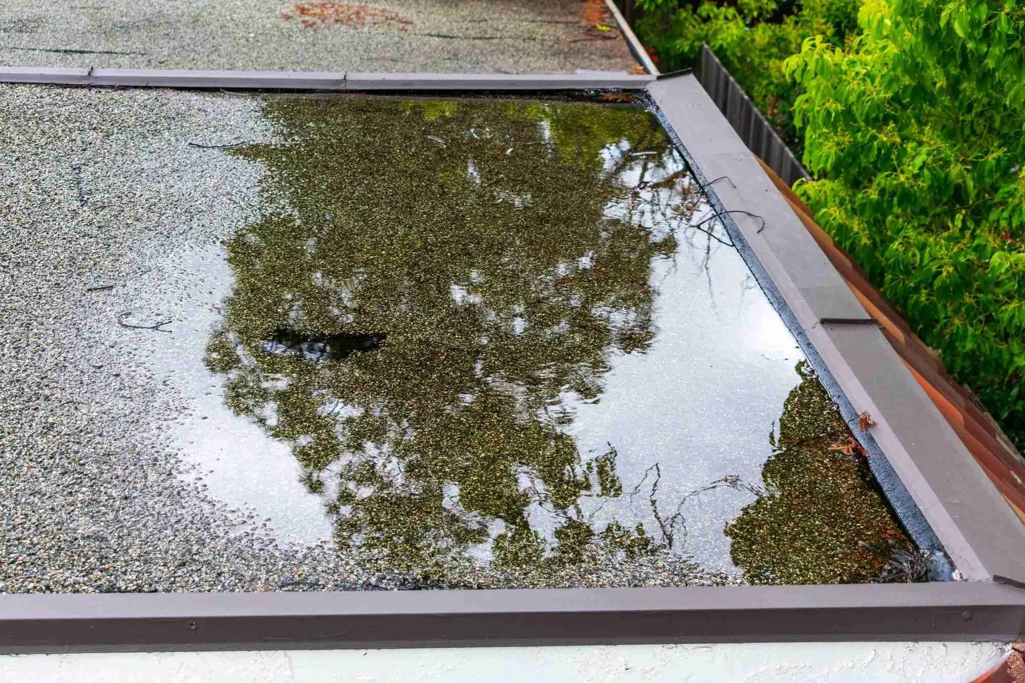 Daklekkage na hevige regenval in Leiden? Dit zijn de oorzaken!