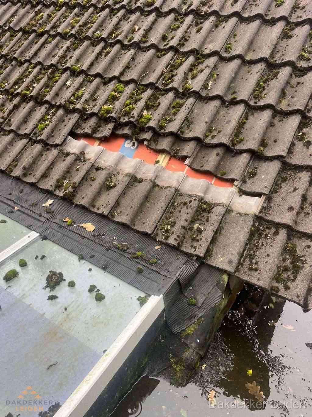 Dakpannen Repareren Leiden