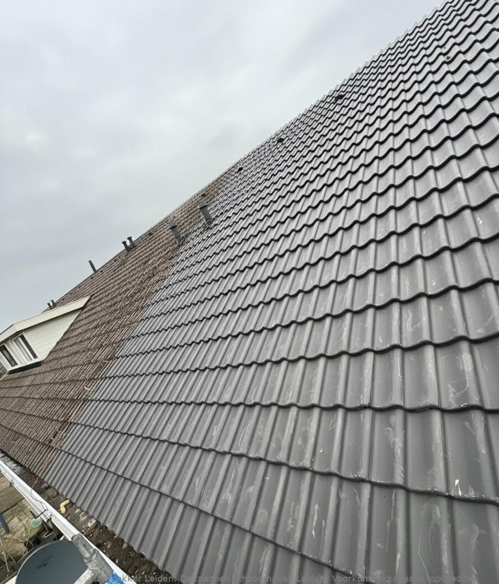 Dakpannen Schoonmaken Leiden