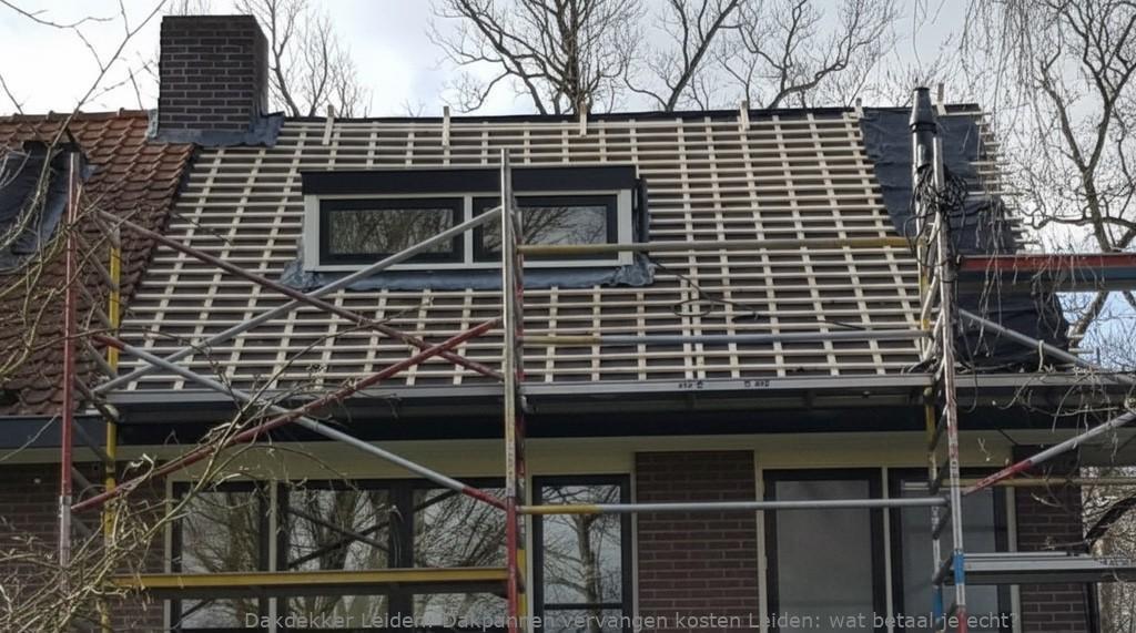 Dakpannen Vervangen Kosten Leiden