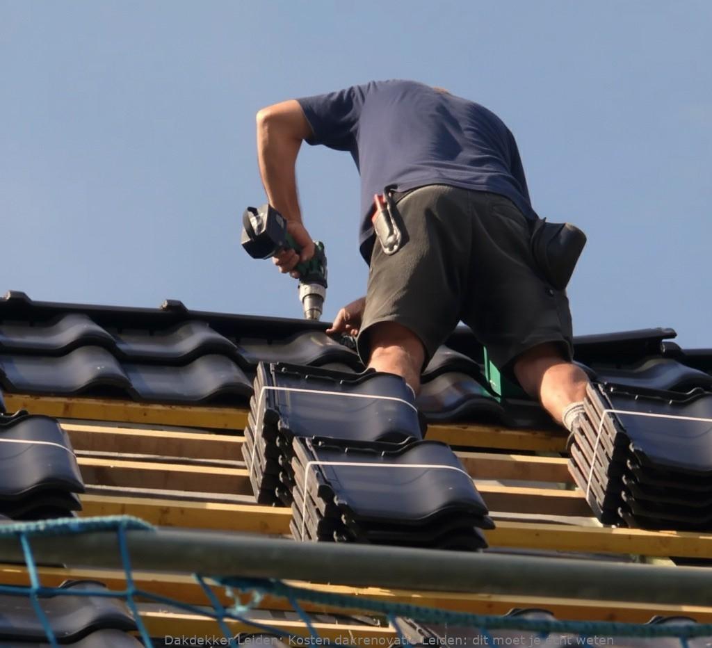 Kosten Dakrenovatie Leiden 1
