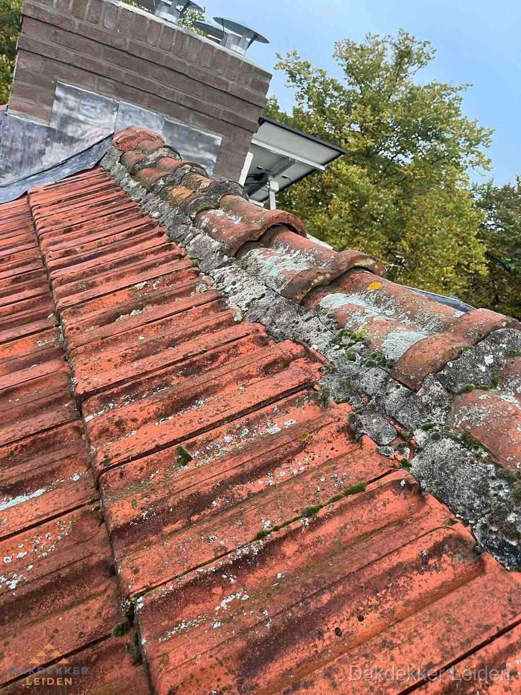 Renovatie Hellend Dak Leiden
