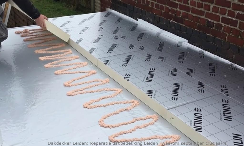 Reparatie Dakbedekking Leiden
