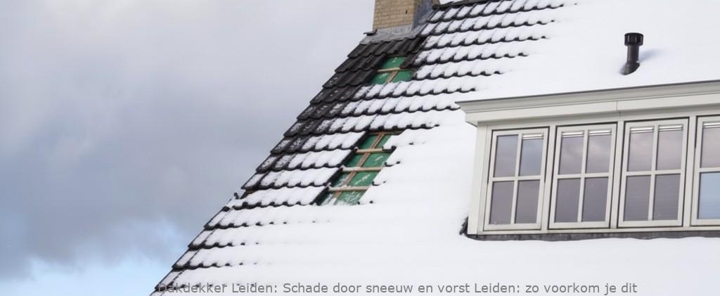 Schade Door Sneeuw En Vorst Leiden