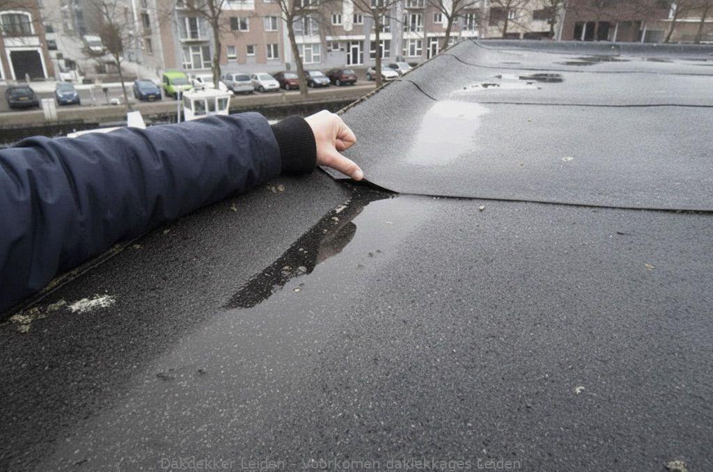 Voorkomen Daklekkages Leiden